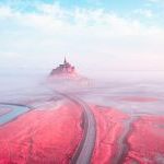 Comment la lumière infrarouge peut sublimer vos photographies