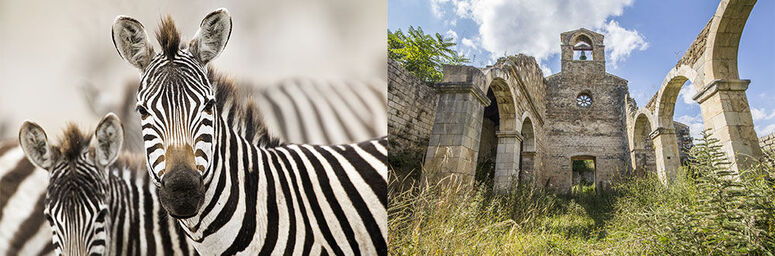 photographe paysage photographe paysage