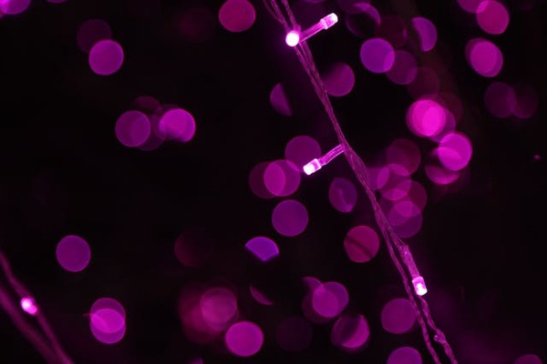 effet bokeh sur crations artistiques