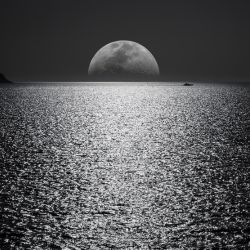 Photographie noir et blanc