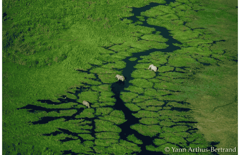 Photographie aérienne de Yann Arthus-Bertrand