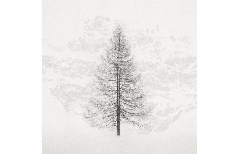 photo ansel adams