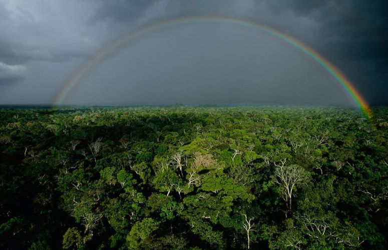 Photographie d'un arc en ciel par dessus une forêt par Yann Arthus-Bertrand