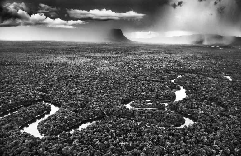 Rivière Cauaburi, Sebastião Salgado / Courtesy polka Galerie