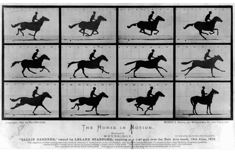 Sallie Gardner at a Gallop — Eadweard Muybridge — 1878