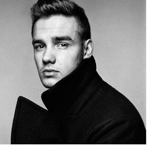 Portrait de Liam Payne, capturé par Platon