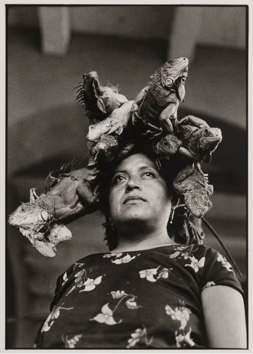 Our Lady of the Iguanas1979 Graciela Iturbide