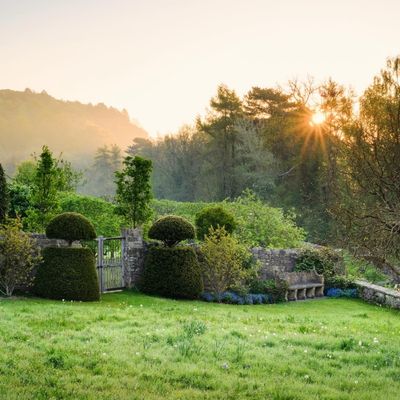 Jason Ingram photographie de jardin