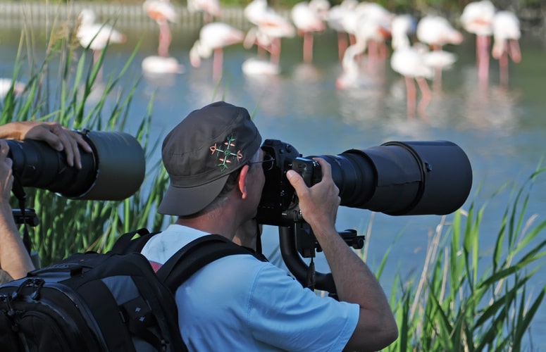 devenir photographe animalier